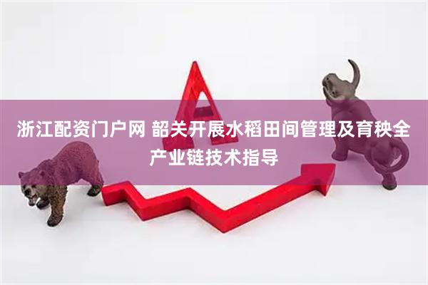 浙江配资门户网 韶关开展水稻田间管理及育秧全产业链技术指导